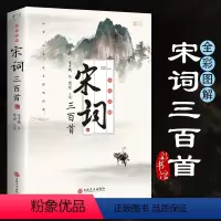 [正版]宋词三百首朱孝臧编著全集完整版无删减300首彩图全解原文译文带注释赏析 中国古诗词鉴赏辞典 小学生初中生高中生