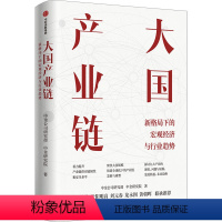 [正版]大国产业链 中金公司研 经管、励志 经济理论、法规 经济理论 书店图书籍出版社