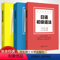 3本套装 高中通用 [正版]日语初级语法中级日语原版引进 同步语法阅读资料书 市川保子著 日语会话例句语法基础知识 华