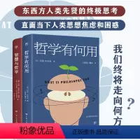 [正版]出版社哲学有何用+智慧与哲学全2册东西方两大哲学阵营跨越千年的史诗对话直面当下人类思想焦虑和困惑人类先贤思考