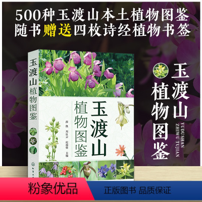 [正版] 玉渡山植物图鉴 蕨类裸子被子地域植物品种 常见特色植物图鉴 植物名称科属识别特征 植物鉴别工具书