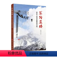 [正版]央视网筚路蓝缕 世纪工程决策建设记述 张国宝著 人民出版社 9787010197531