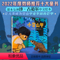 第一册 [正版]小穿山甲 珍·古道尔 马岱姝 穿山甲 教师年度10大童书 动物保护自然生态环境 爱 动物 人类 根与芽