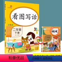 [正版]乐学熊 看图写话 二年级下册 小学生启蒙入门起步专项训练课外阅读理解训练本看图说话写话训练天天练作文书辅导大全