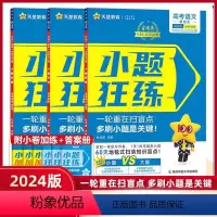 语文+数学+英语 新高考 [正版]2024新高考金考卷小题狂练数学英语文物理化学生物政治历史地理高考小题专项训练小题狂练