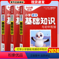 [3本]语文+数学+英语 小学通用 [正版]2024万唯小白鸥小学基础知识与初中衔接大全语文数学英语人教版小升初必刷真题