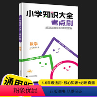 数学(456年级适用) 小学通用 [正版]2023新版 小学知识大全考点刷数学 4-6年级适用 核心知识练习真题 小学四