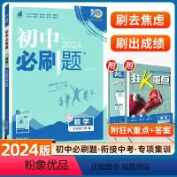 数学 北师版 七年级下 [正版]2024版初中七年级下册数学北师版初一7七下BS初中复习资料人教同步练习册初一数学辅导资