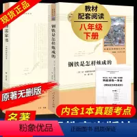[正版]全2册钢铁是怎样炼成的初中原著傅雷家书完整版八年级下册 初中生必读人民教育出版社人教版三联书店语文阅读经典文学