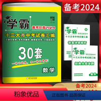 数学 江苏省 [正版]备考江苏2024版学霸中考试卷汇编30套数学 精选2023年江苏13大市中考真题卷 江苏省十三市中