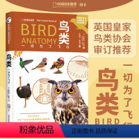 [正版]中国国家地理鸟类:一切为了飞行 动物演化生理结构百科科普全书 中国国家地理英国皇家鸟类协会