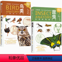 [正版]中国国家地理鸟类+昆虫 2本套装 动物演化生理结构百科科普全书 中国国家地理英国皇家鸟类协会