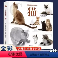 经典科普图鉴系列 猫 [正版]经典科普图鉴系列 猫 0-3-6岁儿童认识猫了解自然界动物科普百科书籍动物知识学习图鉴儿童
