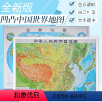 [正版]2021新版 中国地形图精雕3D凹凸立体地图挂图 世界地形图 1.1米X0.8米 家用办公室立体地图挂图 送挂