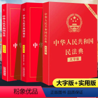[正版]+刑法+民法典全套3册 版法律书籍全套 中华人民共和国实用版刑法典中国法制出版社刑法修正案