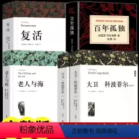 大卫科波菲尔+复活+老人与海+百年孤独[全4册] [正版]高中必读名著 大卫科波菲尔 复活列夫托尔斯泰 老人与海 百年孤