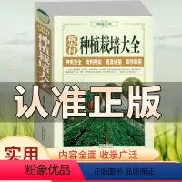 [正版] 新农村蔬菜种植栽培大全 大白菜马铃薯黄瓜辣椒茄子番茄韭菜大葱种植书 病虫害防治 大棚蔬菜栽培技术品类齐全实用