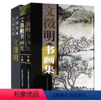 [正版]文徽明书画集全套2册 精装彩图 文征明书法绘画集 铜版纸彩图印刷插盒精装2本书法艺术 明文徽明小楷三种