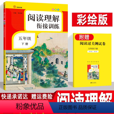 [正版]阅读理解衔接训练五年级下册 彩绘版 衔接真题模拟题专项训练题 小学生5下辅导学习资料 小学语文课外阅读训练书