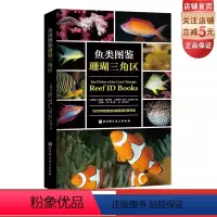 [正版]鱼类图鉴 珊瑚三角区 鱼类科普 物种发现 北京科学技术