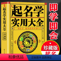 [正版]起名学实用大全姓名学书籍公司店铺新生宝宝起名取名书籍字典入门书籍