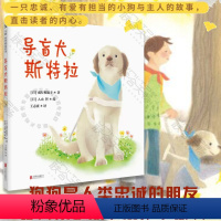 导盲犬斯特拉 入山智绘 [正版](直营) 导盲犬斯特拉 入山智绘 导盲犬主题绘本 3-6岁儿童绘本图画书培养孩子爱护小动