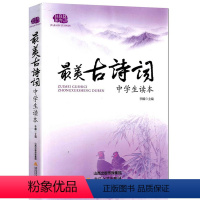 最美古诗词 中学生读本 [正版]《美古诗词 中学生读本》佳佳林作文 初中生7-8-9年级语文写作 范文赏析素材积累运用M