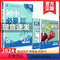 初中必刷题 九下数学(人教版) 初中通用 [正版]2024春 初中九年级下册数学人教版RJ中考专项训练初三9年级下册数学