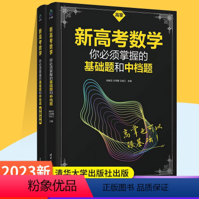 新高考数学 基础题和中档题 高中通用 [正版]新高考数学你必须掌握的基础题和中档题 高掌张杨文等编著 高三高中数学复习基