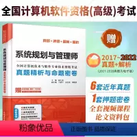 [正版]系统规划与管理师真题精析与命题密卷薛大龙真题押题答案精析2024软考高级全国计算机技术与软件专业技术资格考试系