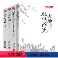 [正版]南方周末记者文集(共4册) 大地孤独闪光+国家与教堂+中国的心病+野马的爱情 书籍