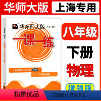 物理 八年级下 [正版]2024一课一练物理八年级下册增强版华东师大版一课一练物理八下8年级下第二学期上海初中初二同步辅