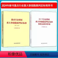 [全套2本]重点行业领域重大事故隐患判定标准和51个行业领域重点检查事项 [正版]2024年新版 重点行业领域重大事故隐