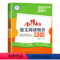 小升初语文阅读组合集训(单册) 小学升初中 [正版]2024版小升初语文阅读组合集训六年级小升初总复习资料文言文阅读理解