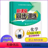 化学 九年级/初中三年级 [正版]新课堂同步训练化学九年级下册配沪教版上海教育版专项训练基础