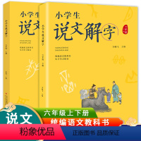 [正版]小学生说文解字六年级上下册 语文教科书生字学习用书彩绘版识字生字幼小衔接教学 造字思想学生教师用书儿童少儿用书