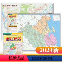 [正版]2024新 阳江市地图 阳江市中心城区图 广东省城市地图 新编详查版 75*105厘米 阳江交通指南地图 阳西