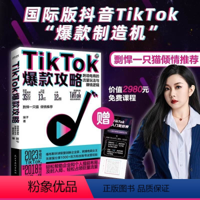 [正版]TikTok攻略流量玩法与赚钱逻辑 笛子国际抖音跨境电商流量赚钱副业海外短视频直播带货 新媒体运