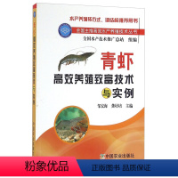 [正版]书籍 青虾高效养殖致富技术与实例邹宏海一线生产人员参考高效生态养殖技术农业林业渔业水产沼虾淡水养殖阅读研究应用