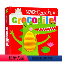 [正版]进口英文原版 触摸书 Never touch a crocodile 封面触摸感强 锻炼小宝宝小手小肌肉 动物