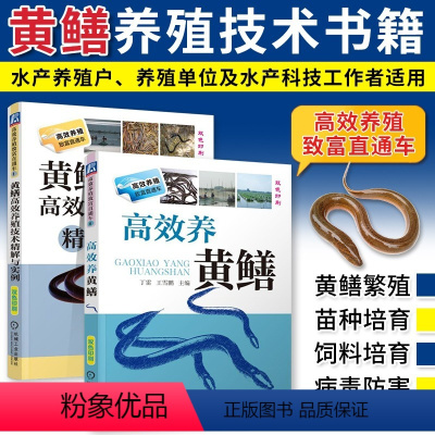 [正版]高效养黄鳝+黄鳝高效养殖技术精解与实例 黄鳝水产养殖技术大全 科学饲养鳝鱼水产高效养殖书 黄鳝养殖新技术 鳝鱼