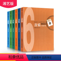 [正版]湖南文艺出版社音乐教师用书1-6年级下册全套6本 湘艺版教师用书下册全套123456年级下册湘艺版小学音乐教师