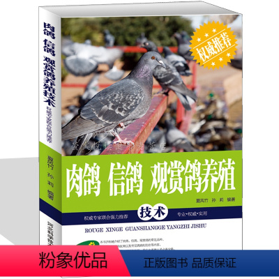 [正版] 肉鸽 信鸽 观赏鸽养殖技术大全 鸽子品种选择 鸽舍鸽笼建设 饲料配置 鸽孕育 鸽子疾病预防治疗 鸽子家禽畜牧