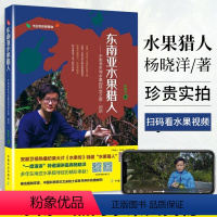 [正版]东南亚水果猎人水果传不乖书生杨晓洋科普水果百科全书籍大全实拍图品种分类新鲜热带泰国东南亚水果营养菜谱减肥餐世界