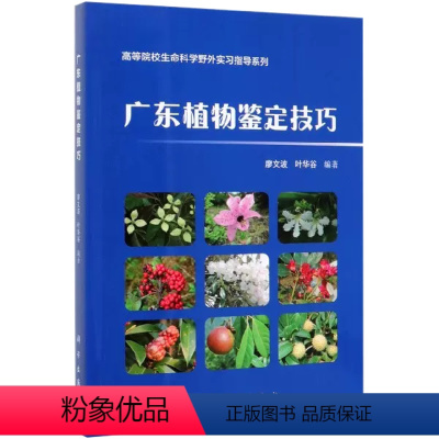 [正版]书广东植物鉴定技巧/高等院校生命科学野外实习指导系列 书籍KX