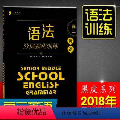 [正版]2018黑皮英语语法分层强化训练高二 高中英语语法训练 高中英语专项训练强化练习复习资料书