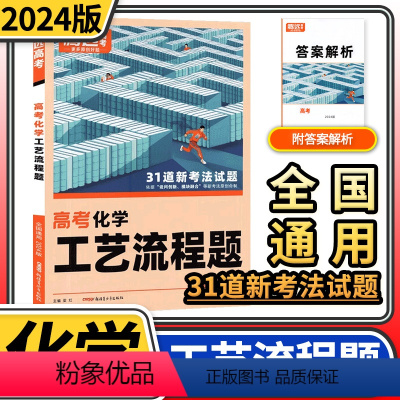 [正版]2024版腾远高考化学工艺流程题 解题达人高考题型专项训练题型理科综合知识点高中分题型强化高三复习资料一二三卷