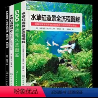 全4册 500种造景水草图鉴+水草缸造景全流程图解+水草缸造景设计+水族造景一本通 [正版]水草造景艺术从入门到精通+5