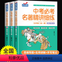 [初中全3册]中考必考名著精讲细练 初中通用 [正版]中考必考名著精讲细练四大名著初中考点名著解读一点通名著帮帮团初中课