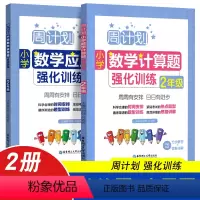 计算题+应用题强化训练 小学二年级 [正版]周计划二年级数学应用题强化训练 数学练习题练习册逻辑思维训练大全 小学2年级